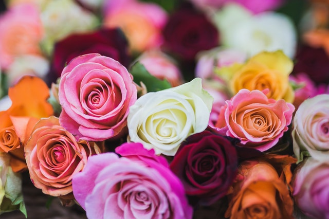 Onze favoriete bloemen in huis: de roos mag niet ontbreken